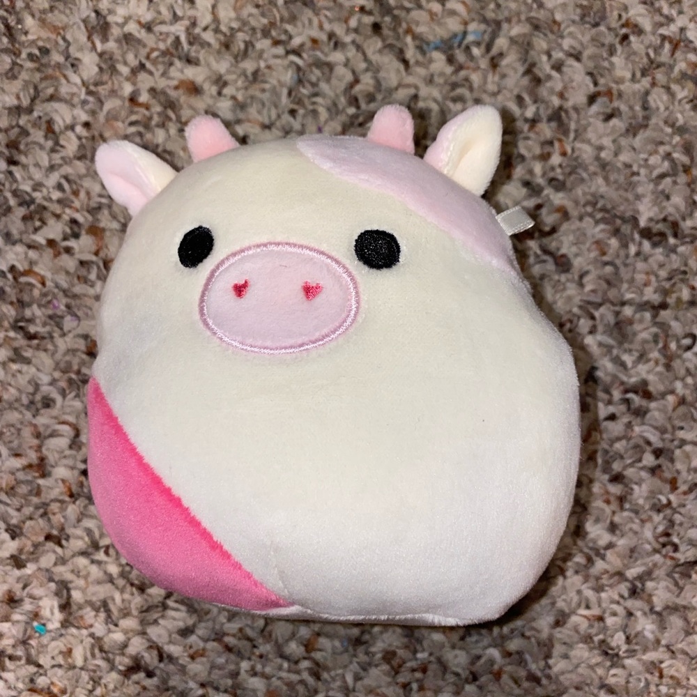 NWOT mini squishmellow